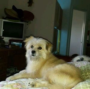 Meet your Posher, Rey